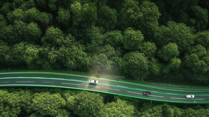 风电场选址与施工：关键差异解析