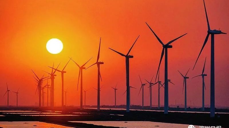 光伏板的尺寸通常以长宽比例表示，如1.6m×0.9m。以下是一些常见尺寸：